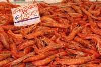 Gamberoni - k�mperejer