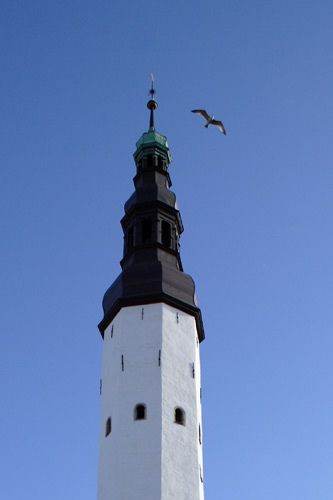 Kirket&aring;rn og m&aring;ge i Tallinn
