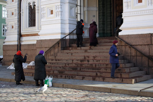 Praying women and a seagull by the Nevsky Cathedral in Tallinn