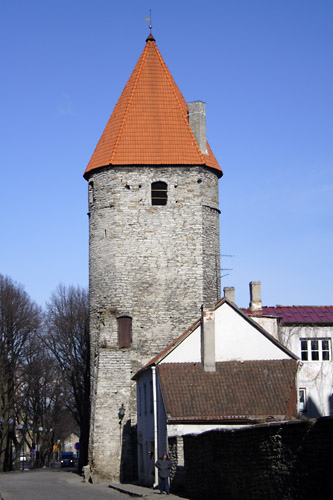 T&aring;rn i Tallinns gamle by