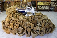 Natursvampe