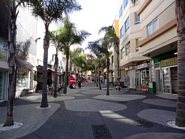 G&aring;gade med palmer