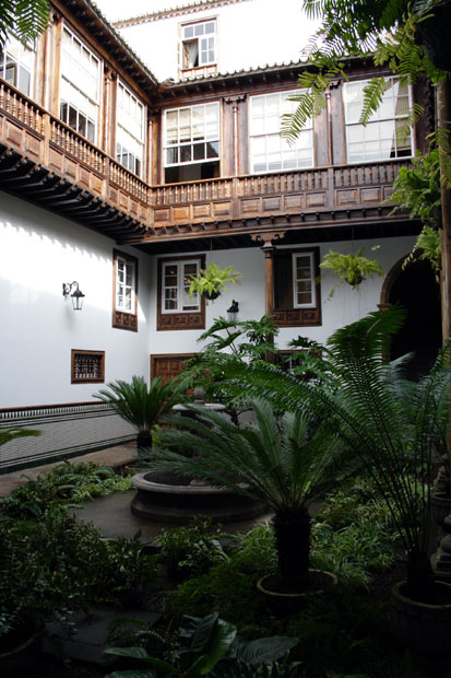 Kanarisk g&aring;rhave i La Laguna