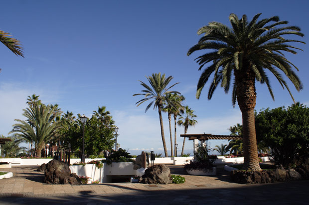 Gr&oslash;n oase p&aring; strandpromenaden i Puerto de la Cruz