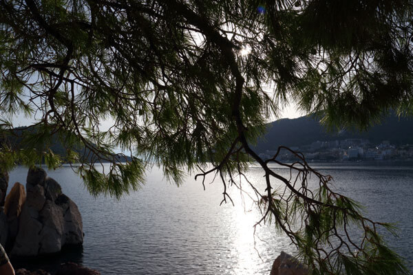 Fra bryllups�en ud for Tolo