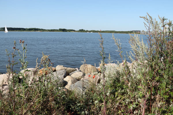 Ved Limfjorden
