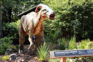 Dinosaur